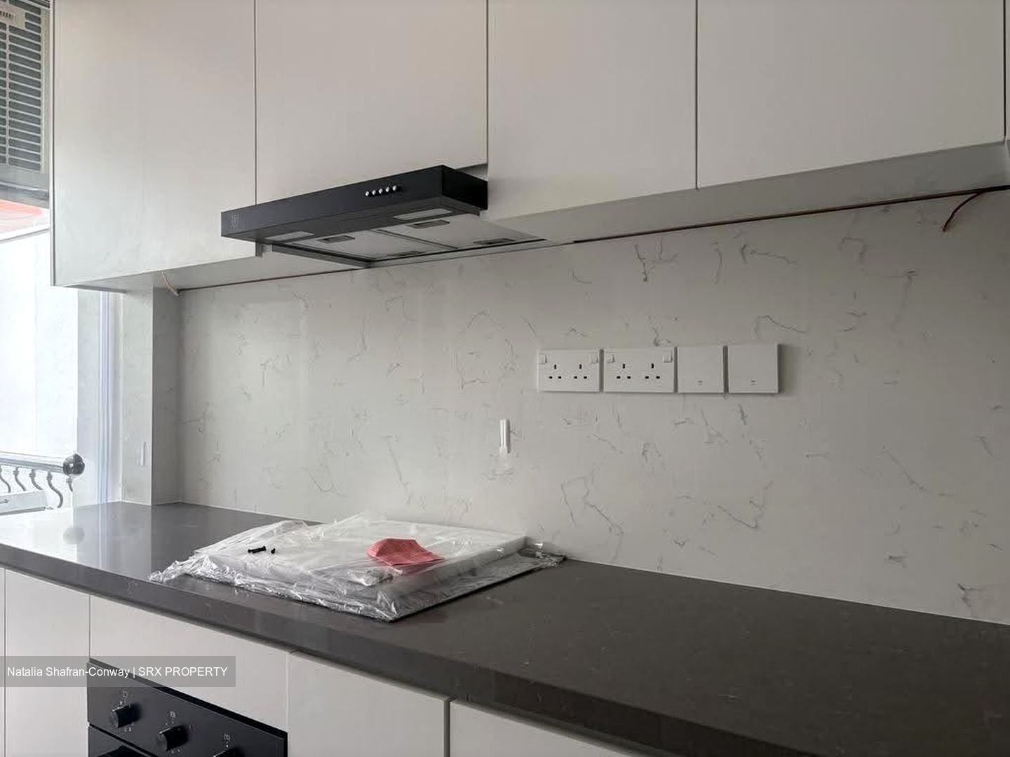 Tanglin Park (D10), Condominium #614192031
